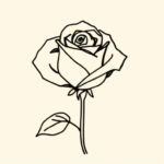 a rose