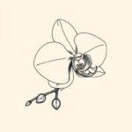 orchid from the side