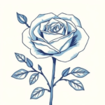 Blue rose, minimal lines