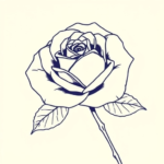 Blue rose, soft edges