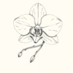 Artistic Sketch Orchid Tattoo
