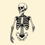 Black Ink Skeleton Tattoo