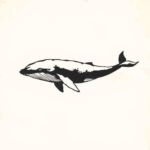 Black Whale Tattoo