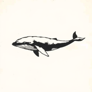 Black Whale Tattoo
