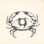 Charcoal Crab Tattoo