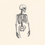 Continuous Line Skeleton Tattoo