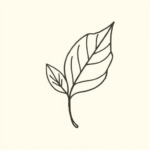 Doddle Leaf Tattoo