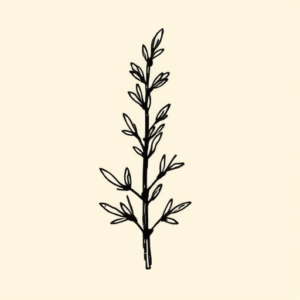 Doddle Rosemary Tattoo
