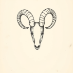 Dotwork Aries Tattoo