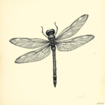 Engraving Dragonfly Tattoo
