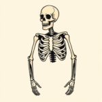 Flash Skeleton Tattoo