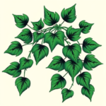 Green Ink Ivy Tattoo