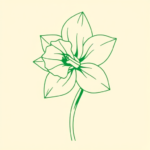 Green Ink Outline Daffodil Tattoo