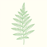 Green Ink Outline Fern Tattoo