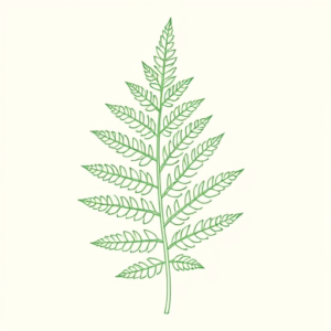 Green Ink Outline Fern Tattoo
