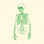 Green Ink Outline Skeleton Tattoo