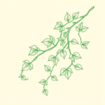 Green Ink Outline Vine Tattoo