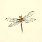 Ignorant Dragonfly Tattoo