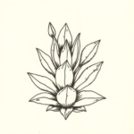 Ignorant Succulent Tattoo