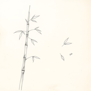 Loose Pencil Sketch Bamboo Tattoo