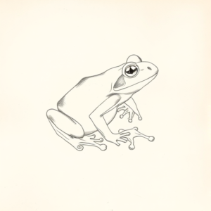 Loose Pencil Sketch Frog Tattoo