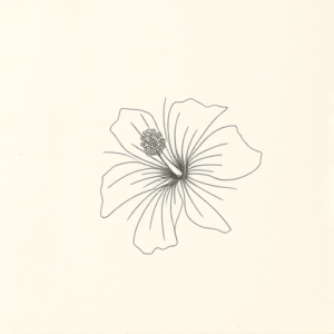 Loose Pencil Sketch Hibiscus Tattoo