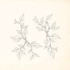 Loose Pencil Sketch Ivy Tattoo