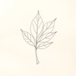Loose Pencil Sketch Leaf Tattoo