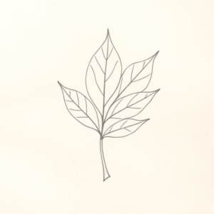 Loose Pencil Sketch Leaf Tattoo