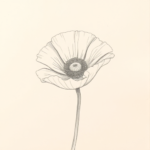 Loose Pencil Sketch Poppy Tattoo