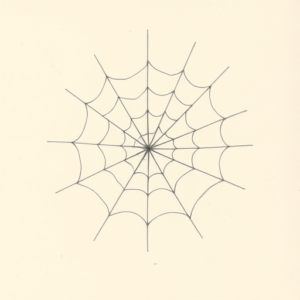 Loose Pencil Sketch Spiderweb Tattoo