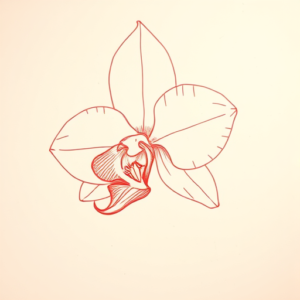 Loose Red Pencil Orchid Tattoo