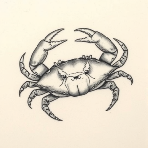 Micro-Realism Crab Tattoo