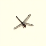 Micro Realism Dragonfly Tattoo