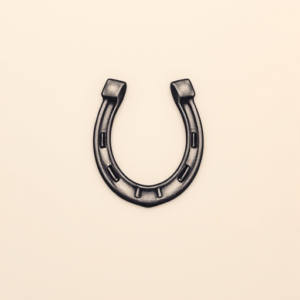Micro Realism Horseshoe Tattoo