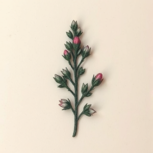 Micro Realism Rosemary Tattoo