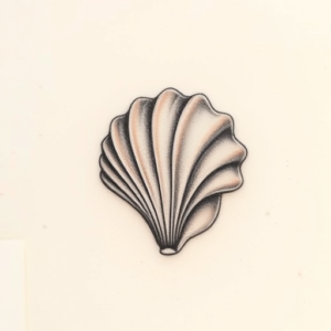 Micro-Realism Seashell Tattoo