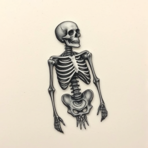 Micro Realism Skeleton Tattoo