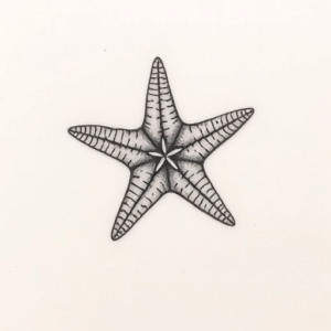 Micro Realism Starfish Tattoo