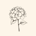 Minimalist Hydrangea Tattoo