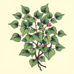 Neo-Traditional Ivy Tattoo