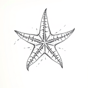 Pencil Sketch Starfish Tattoo