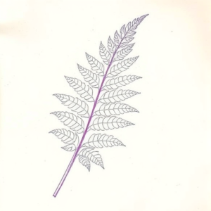 Purple Outline Fern Tattoo