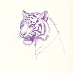 Purple Outline Tiger Tattoo