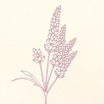 Red Ink Outline Lavender Tattoo