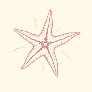 Red Ink Outline Starfish Tattoo