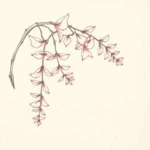 Red Ink Outline Wisteria Tattoo