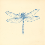 Rough Blue Pencil Sketch Dragonfly Tattoo