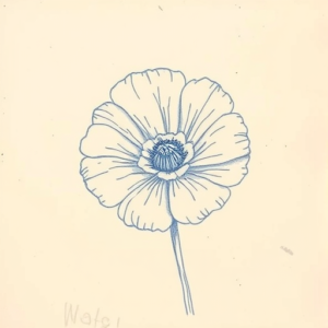 Rough Blue Pencil Sketch Marigold Tattoo