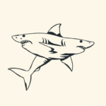 Side View Shark Tattoo